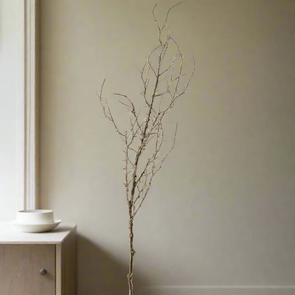 Hawthorn Branch Stem