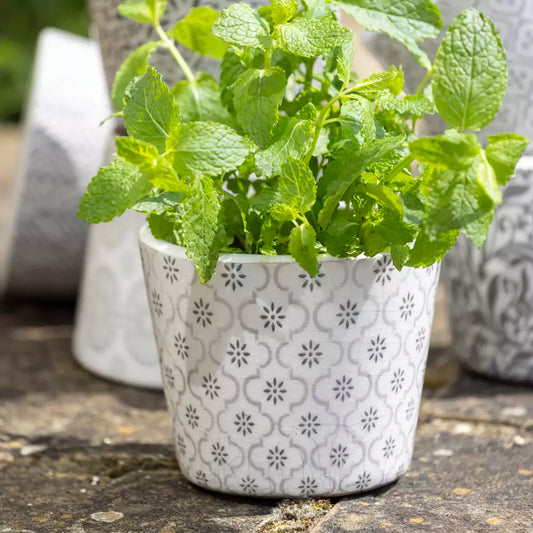 Elysian Plant Pot - floral design