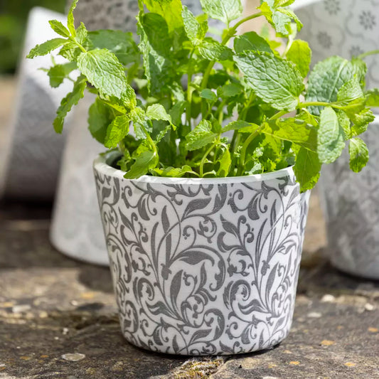 Elysian Plant Pot - elegant floral design